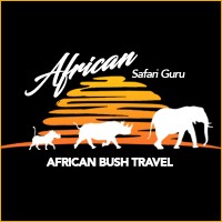 Lodge Transfers South Africa logo - Similar company to 27 Travels