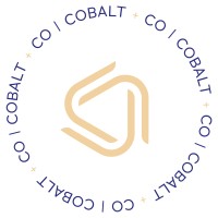Cobalt and Co logo - Similar company to Smeko