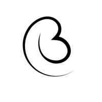 Boss Bidet logo - Similar company to Luxe Bidet
