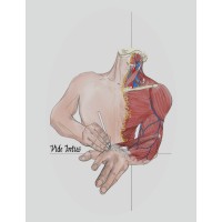 Surgical Fitness Research Pod