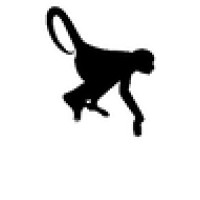 The Fearless Monkey