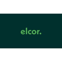 Elcor. Baltic  The future is electric logo - Similar company to Future Electric Llc