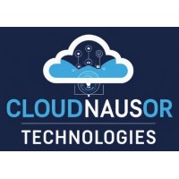 CloudNausor Technologies logo - Similar company to Empress Technologies