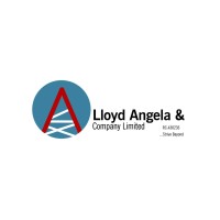 Lloyd Angela & Company Ltd logo - Similar company to Cyberspace Network Limited