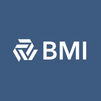BM Intelligence GmbH logo - Similar company to Curious Media