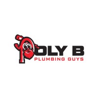 The Poly B Plumbing Guys logo - Similar company to Alpha Protects