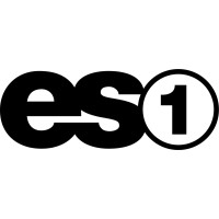 ES1 logo - Similar company to Vidals Properties