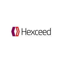 Hexceed logo - Similar company to Anutio