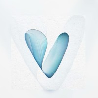 Variant Innovations logo - Similar company to Haï Architecture