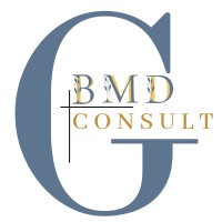 BMDG-Consult Ltd. logo - Similar company to Lukanet Ltd