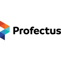 Profectus Vietnam logo - Similar company to Profectus Group