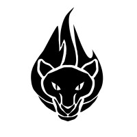 Bold Spirit Game Studio logo - Similar company to Amokbits