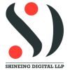 Shineing Digital LLP logo - Similar company to Websoft Solutions
