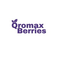 QROMAX BERRIES logo - Similar company to Peru Customs Adviser