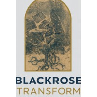 BlackRose Transform logo - Similar company to Dot Asia