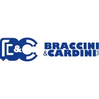 BRACCINI & CARDINI SRL logo - Similar company to Protek Srl