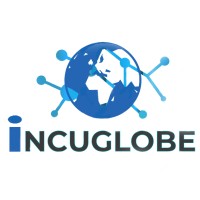 IncuGlobe Solutions Pvt. Ltd. logo - Similar company to Sci-Com Software India Private Limited