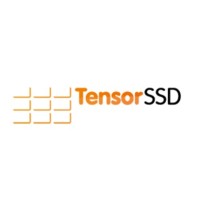Tensor SSD logo - Similar company to Tensor Plc
