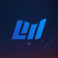 Leapwing logo - Similar company to Studio12Ter