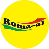 Roma-al DOO logo - Similar company to Tim 99