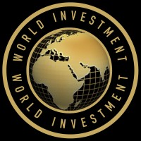 World Investment Group logo - Similar company to Behind Codes