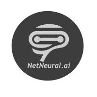 NetNeural.ai logo - Similar company to Babelfish Analytics, Inc.
