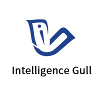 Intelligent Gull Driver Technology Limited logo - Similar company to Sky Drone