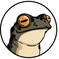 Black Frog Studio logo - Similar company to One11 Creative Agency