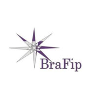 BRAFIP logo - Similar company to Tirio - Sindicato Das Empresas De Informática Do Rio De Janeiro