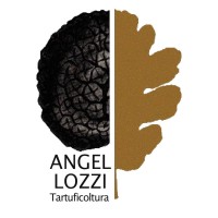 Angellozzi Tartuficoltura logo - Similar company to Truffes & Croc’