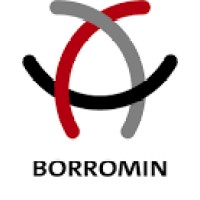 Borromin Capital Management GmbH logo - Similar company to Ruth Lee Ltd