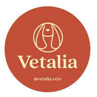 Vetalia logo - Similar company to Meru