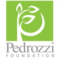 Pedrozzi Foundation logo - Similar company to Chauncey Technologies