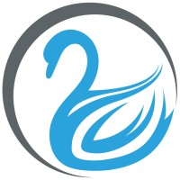 Blue Cygnet Solutions, LLC logo - Similar company to Summit It Solutions Llc