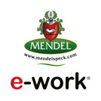 Women's Team Mendelspeck e-Work logo - Similar company to Hr Spa - Consulenza Hr
