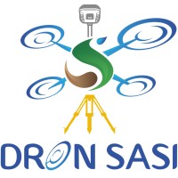 DronSasi Ingeniería y Drones logo - Similar company to Afs Proyectos