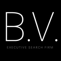 B.V. Search logo - Similar company to Clearpath Aml
