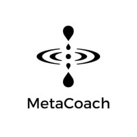 MetaCoach logo - Similar company to Bk Holdings