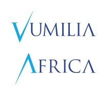 Vumilia Africa Group logo - Similar company to Evaluerate.Co.Za