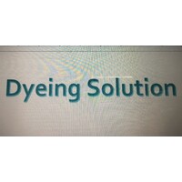 Dyeing Solution logo - Similar company to Fantasy Dyeing™️