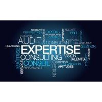 Cabinet d'Audit et Conseil logo - Similar company to Erp Facile
