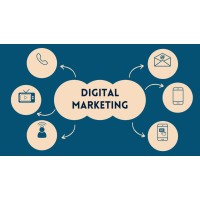 baviskers digital markting logo - Similar company to Brandorbitdigital
