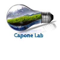 caponelab srl logo - Similar company to Studio Scudeller