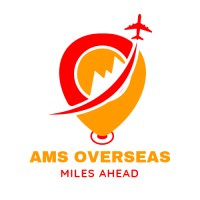 AMS Overseas logo - Similar company to Ignitedfuture