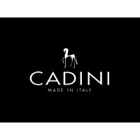 CADINI srl logo - Similar company to Copernico Crm