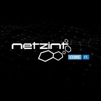 Netzint GmbH logo - Similar company to Scolutions