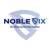 Noble Six, Inc. logo - Similar company to Vig