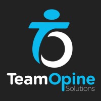 TeamOpine Solutions logo - Similar company to Network Components And Solutions Ltd