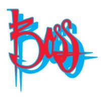 Boss Telecom Consulting logo - Similar company to Quantum Tech Solutions