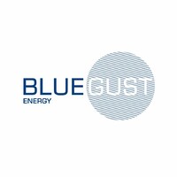 Blue Gust Energy logo - Similar company to Rubibot